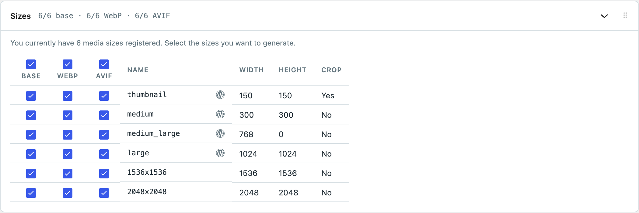 The Sizes panel: every registered size, with WebP and AVIF columns